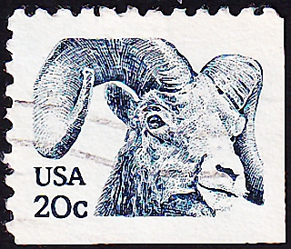  1982  .   (Ovis canadensis) .  6,0 .(1)